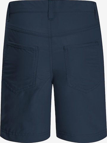 JACK WOLFSKIN Normalny krój Spodnie outdoor w kolorze niebieski