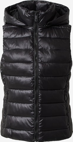 Calvin Klein Vest in Black: front