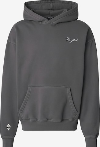 Crystal Paris Sweatshirt 'Laville' in Grey: front