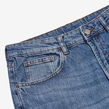 Denim Project Regular Jeans 'Boston' in Blauw