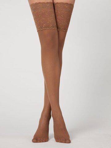 CALZEDONIA Halterlose Strümpfe in Braun: Vorderseite