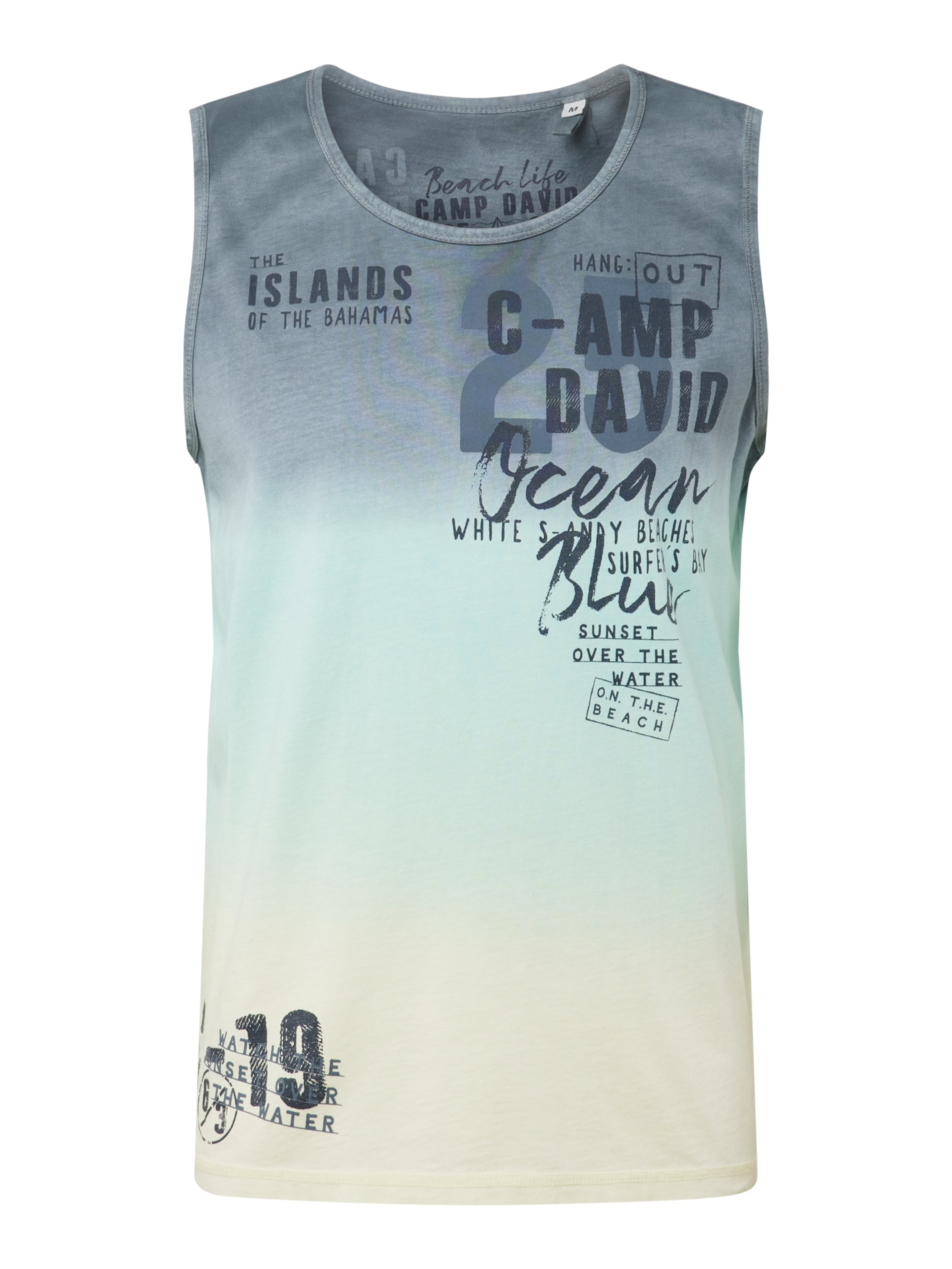 CAMP DAVID Shirt in Mixed colors: front