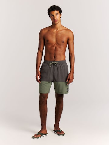 PROTEST Swimming shorts 'PRTCabus' in Green