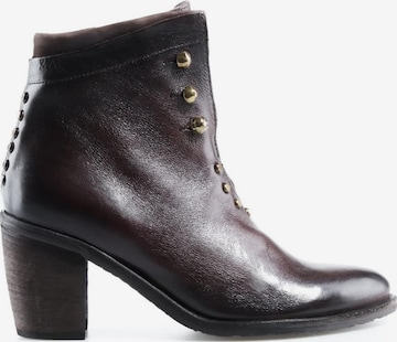 A.S.98 Ankelboots 'Rayne' i brun: framsida