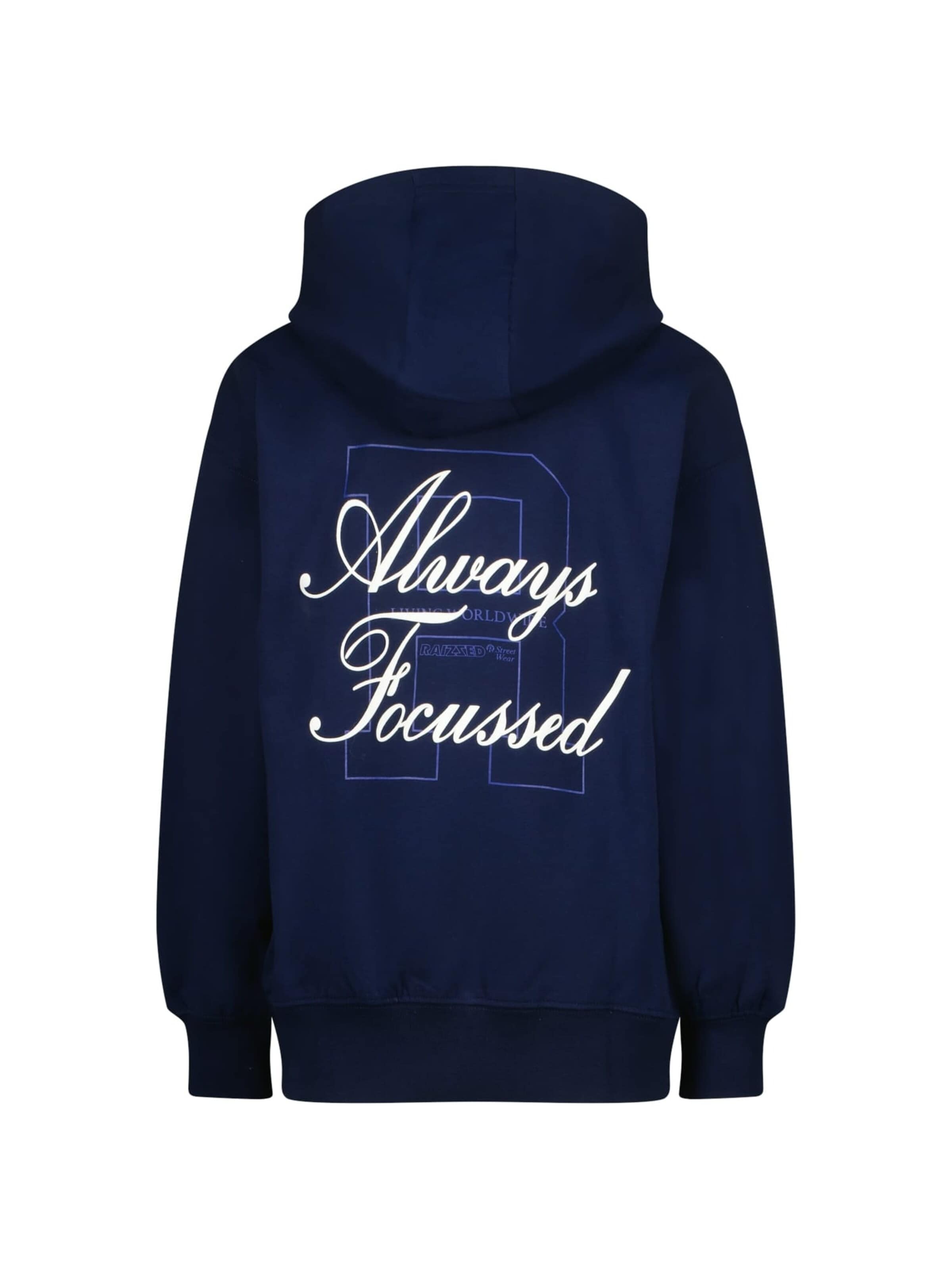 Raizzed Sweatshirt in Blauw
