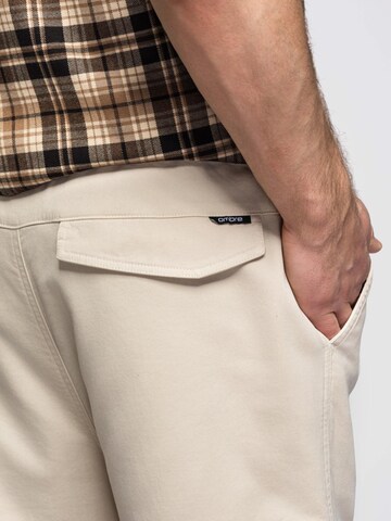 regular Pantaloni sportivi di Ombre in beige