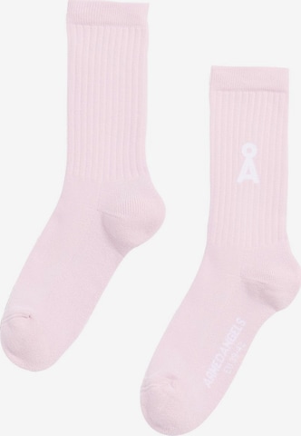 Chaussettes 'SAAMUS BOLD' ARMEDANGELS en rose : devant