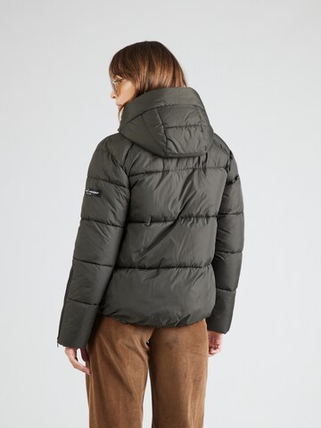 Veste d’hiver Frieda & Freddies NY en vert