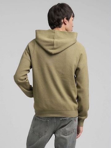 REPLAY Pullover‌‌‌‌‌‌‌ in Grün