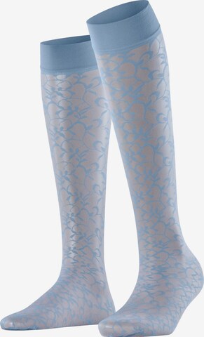 FALKE Over the Knee Socks 'Soft Spell' in Blue: front