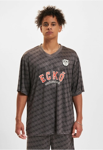 Ecko Unlimited Shirt in Grey: front