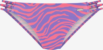 VENICE BEACH - Cueca biquíni em roxo: frente