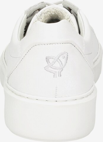 SIOUX Sneakers in White