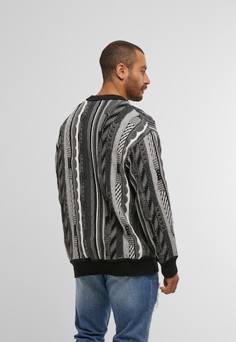 Colucci Pullover i grå