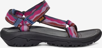 TEVA Trekkingsandale in Pink