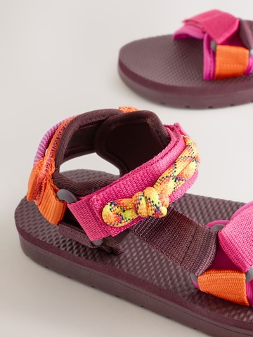 Next Sandal in Purple