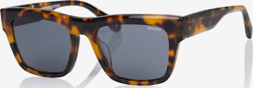 Superdry Eyewear Sonnenbrille in Braun: Vorderseite