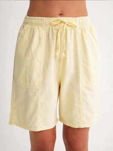 MixRay Regular Pants in Yellow