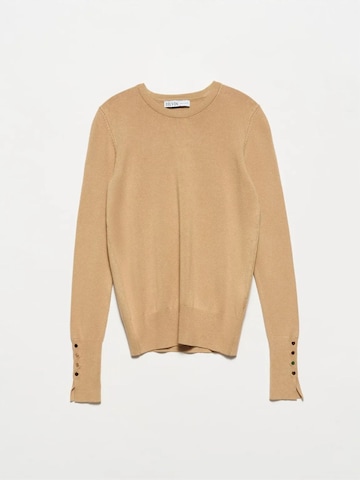 Pullover 'Pullover' di Dilvin in marrone: frontale