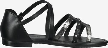 GEOX Sandalen met riem in Zwart