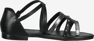 Sandalo con cinturino di GEOX in nero