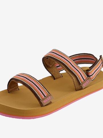 REEF Sandals 'Ahi' in Yellow