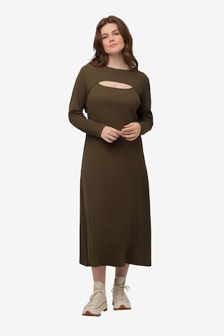 Ulla Popken Dress in Brown: front