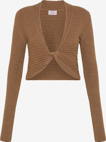 DEHA Trui in Bruin: voorkant