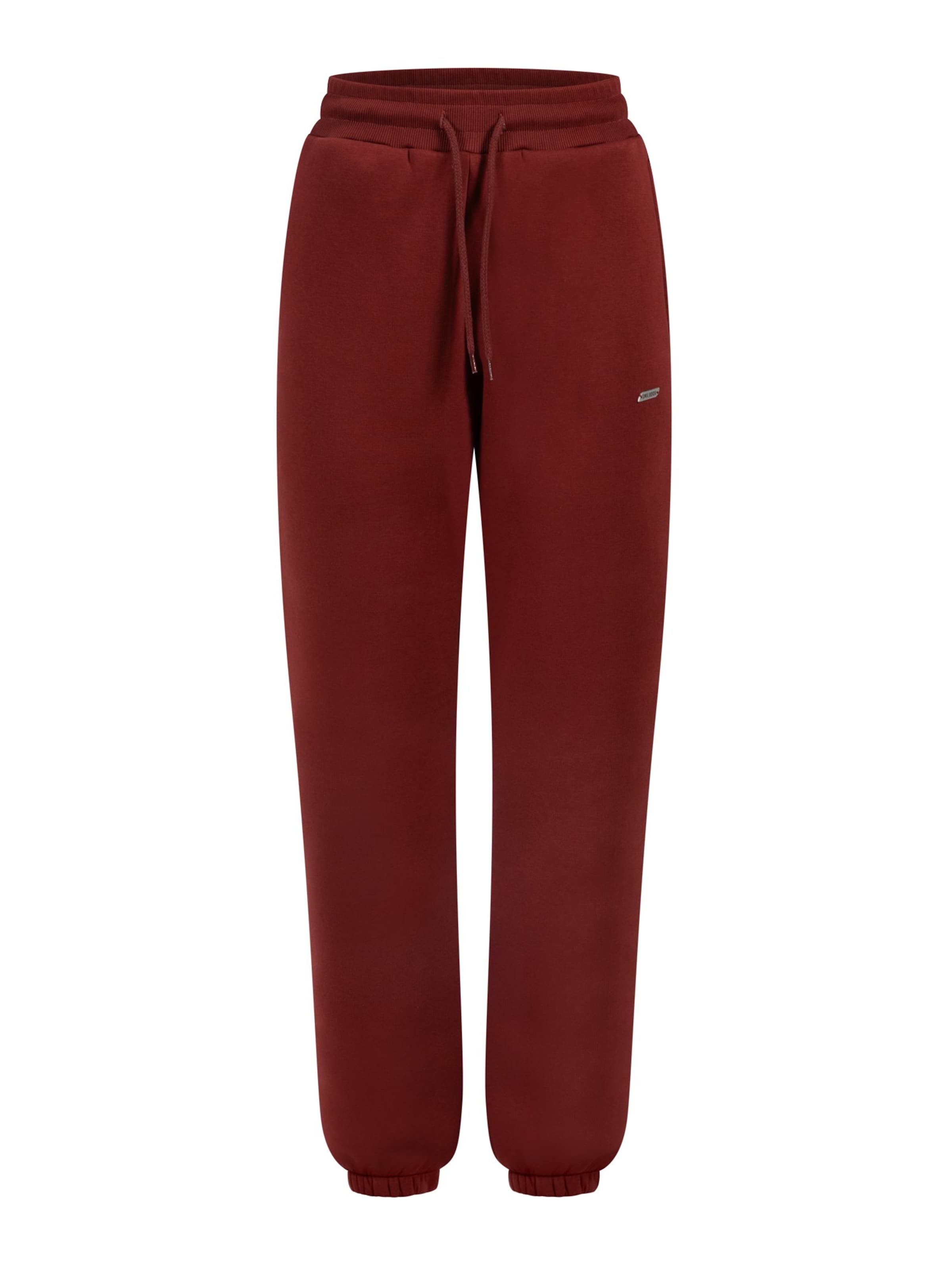 Smilodox Pants in Brown: front