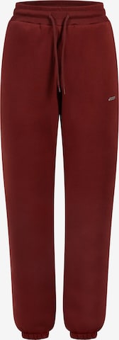 Smilodox Pants in Brown: front