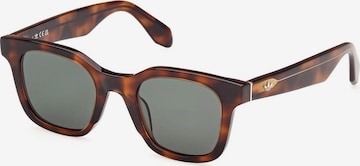 ADIDAS ORIGINALS Sonnenbrille in Braun: Vorderseite