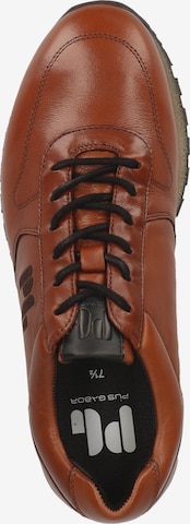 Pius Gabor Sneakers in Brown