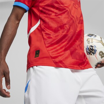 PUMA Tricot 'Tschechische Republik 2024' in Rood