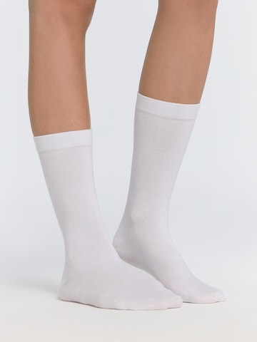 Albero Natur Socks in White: front