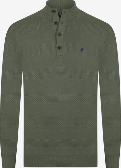DENIM CULTURE Sweater 'Chandler' in Green, Item view
