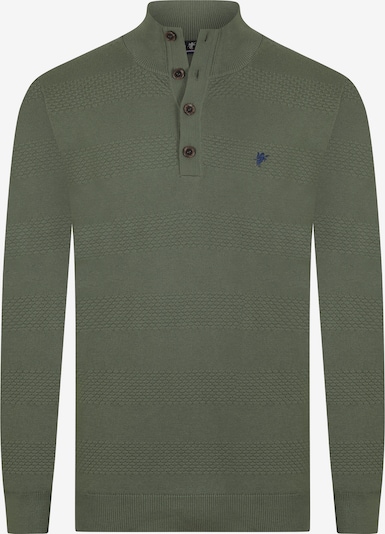 DENIM CULTURE Sweater 'Chandler' in Green, Item view