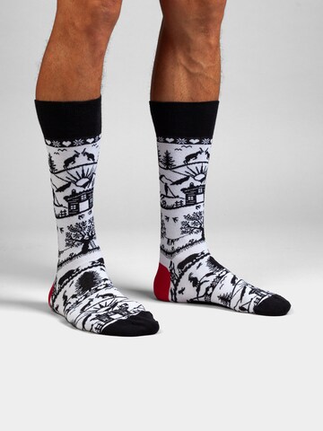 DillySocks Socken in Mischfarben: Vorderseite