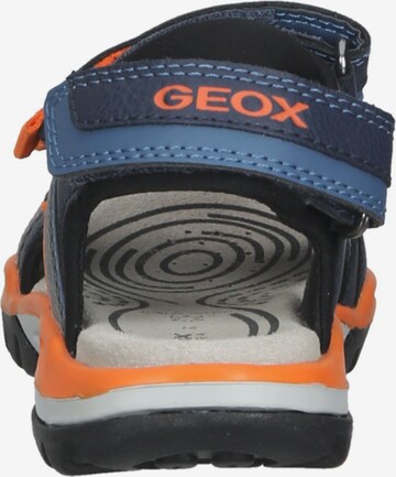 Chaussures ouvertes GEOX en bleu