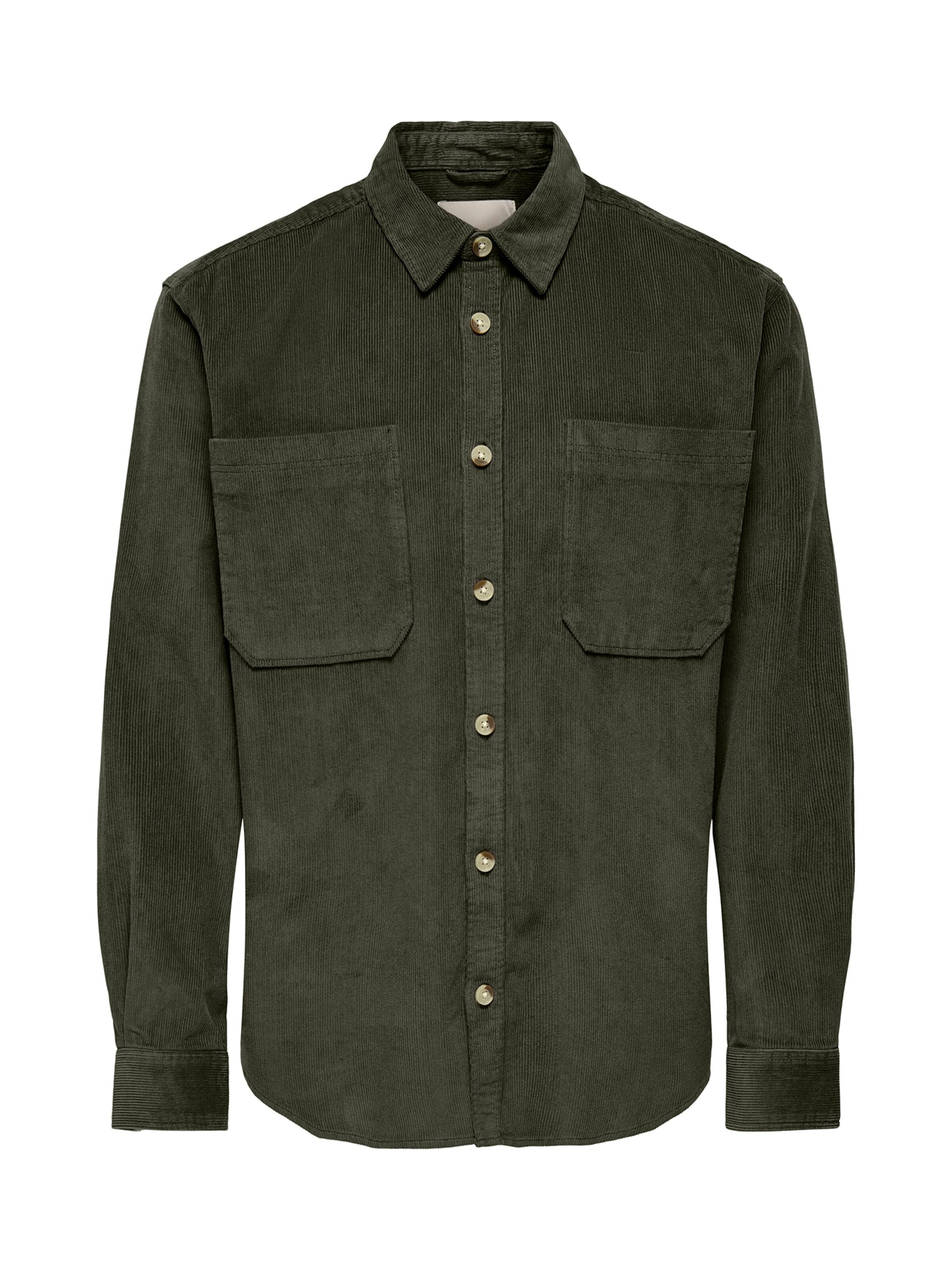 Only & Sons Comfort fit Button Up Shirt 'ONSALP' in Green: front