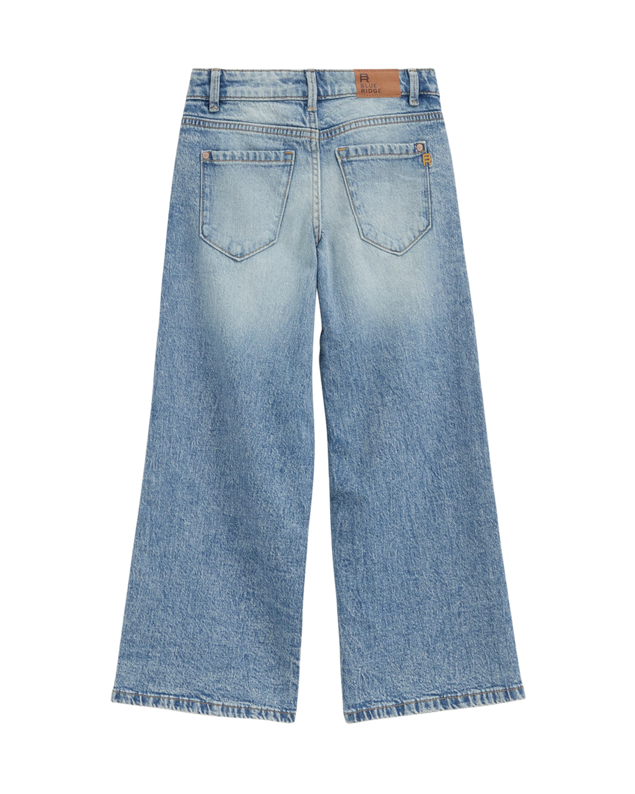 Wide Leg Jean WE Fashion en bleu