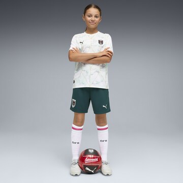 PUMA Regular Sports trousers 'Österreich 2026' in Green