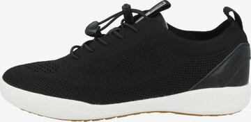 JOSEF SEIBEL Sneakers 'Sina 65' in Black