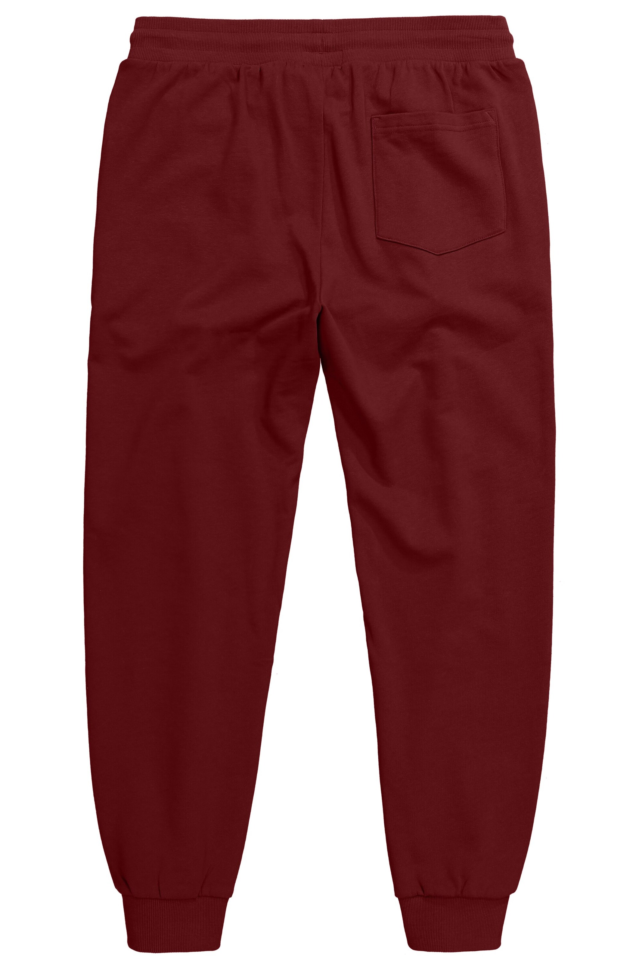 Men Plus Tapered Broek in Bruin