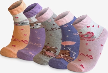 Crea Socks Sokken 'Süße Tiere' in Gemengde kleuren: voorkant