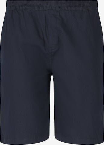 NOU Regular Shorts 'Helvetia' in Blau: Vorderseite