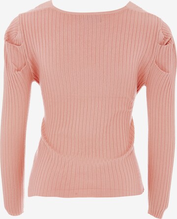 Sookie Pullover in Pink