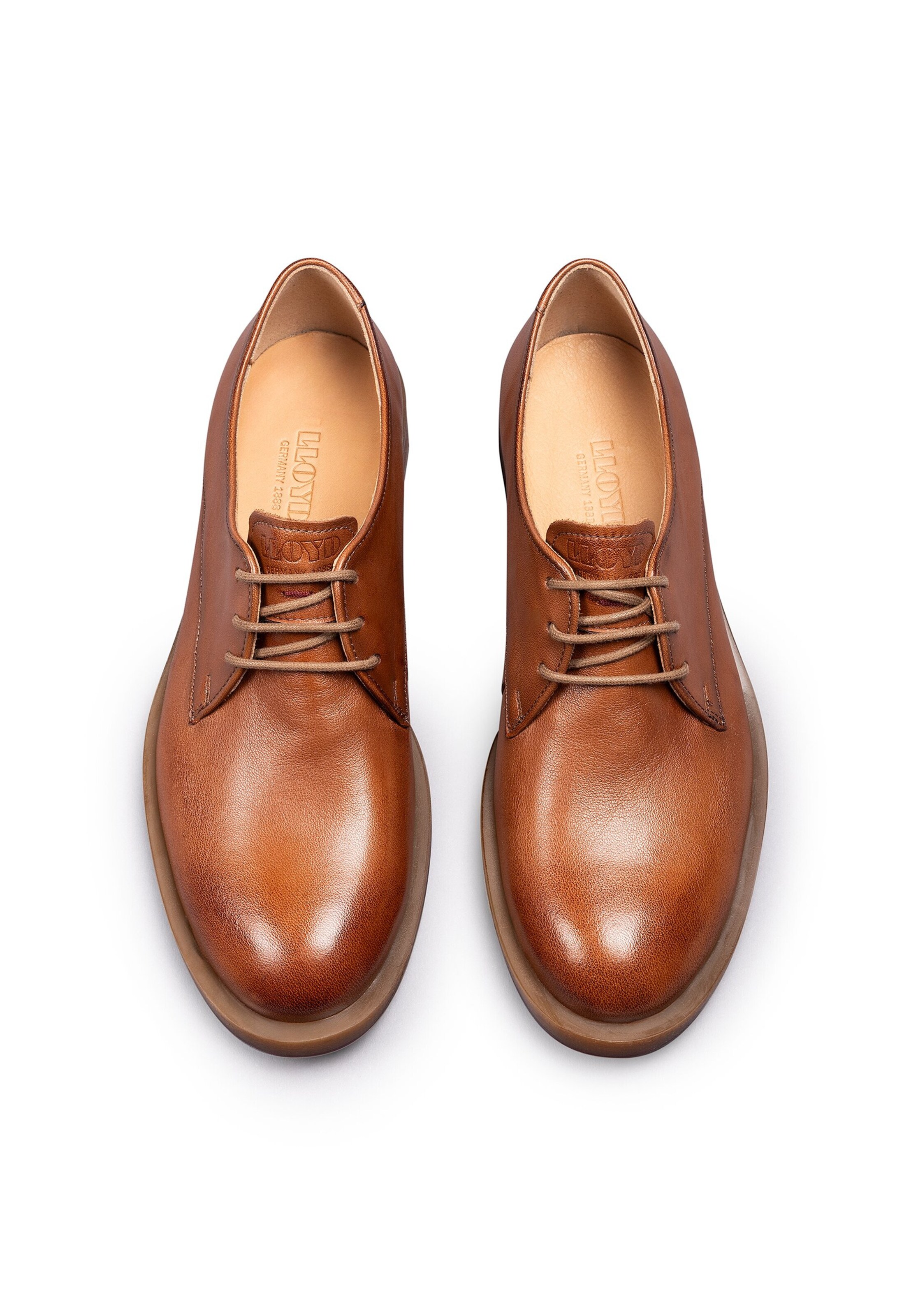 Scarpa stringata di LLOYD in marrone