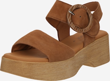 Sandales GABOR en marron : devant