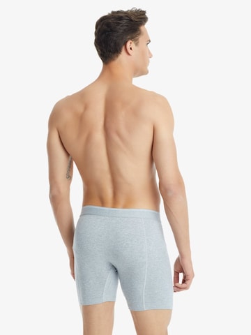 Blackspade Boxershorts in Grijs