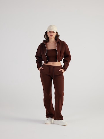 HOLLY LOLLY Regular Trousers in Brown